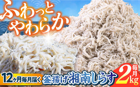 【全12回定期便】釜揚げ 湘南しらす 1kg×２P【平敏丸】 [AKEZ016]