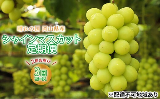 
										
										ぶどう 2024年 先行予約 晴れの国 シャインマスカット 2房（1房約700g以上） 定期便 3回 コース 岡山県 シャインマスカット フルーツ ぶどう ブドウ マスカット フルーツ 種なし フルーツ 果物 旬 定期便
									