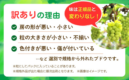 【2616-0441】岡山 花笑み農園 訳あり『シャインマスカット』1kg WS-1