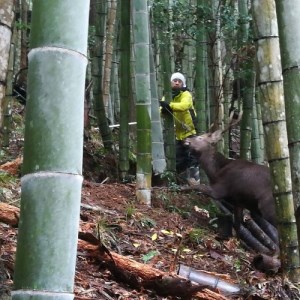 ジビエ と 寒山拾得の 加工品 セット 鹿肉約1kg 鹿肉辣油 2種類 鹿肉味噌 2種類 万願寺唐辛子アチャール 1個 詰め合わせ セット
