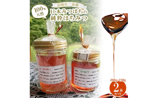 ＜山梨市三富産＞日本みつばちの純粋はちみつ2本セット(200g+150g)【1119992】