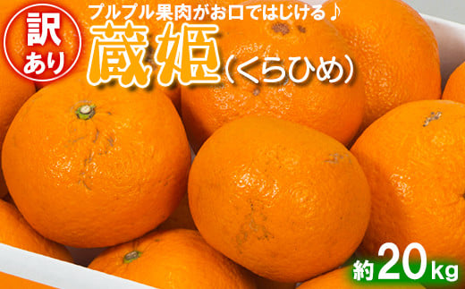 【訳あり・優品】今村農園の「蔵姫くらひめ（紅甘夏） 約20kg」 先行予約 20kg 2025年 3月発送 4月発送 わけあり 柑橘類 みかん ミカン フルーツ ＜107-031_5＞