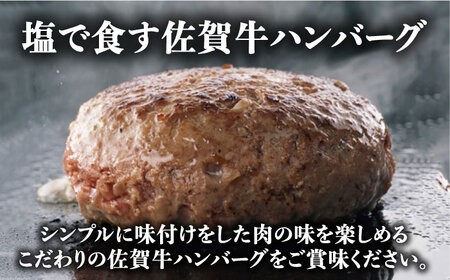 【3回定期便】佐賀牛と若楠三元豚のハンバーグ 食べ比べセット 計4個（2種×2個）/ナチュラルフーズ[UBH082]