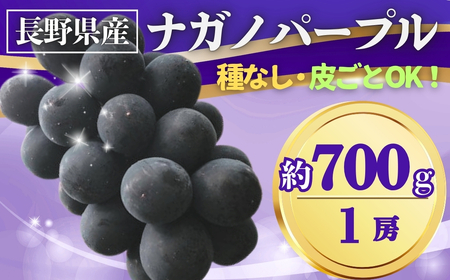 【2026年先行予約】ぶどう ナガノパープル 約700g(1房)｜ぶどう
