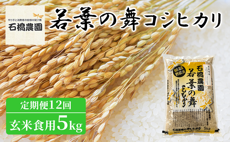 
米 若葉の舞 コシヒカリ 玄米食用5Kg 定期便12回 こしひかり お米 玄米 定期便 千葉 千葉県 低温保存 [№5346-0818]
