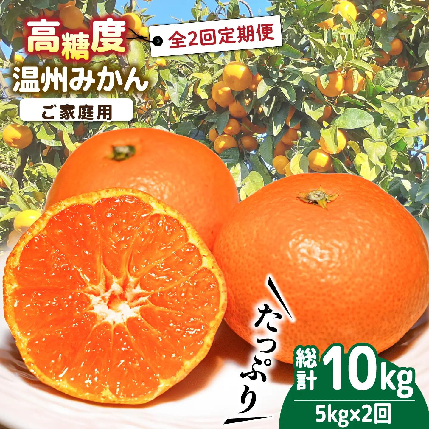 【2026年12月-発送】【大満足！ 2回 定期便 】温州みかん 約5kg / みかん 定期便 ミカン 蜜柑 長崎県産みかん 糖度 果物 くだもの 果物定期便 フルーツ ふるーつ フルーツ定期便 旬 家庭用 5kg / 南島原市 / 南島原果物屋 [SCV017]
