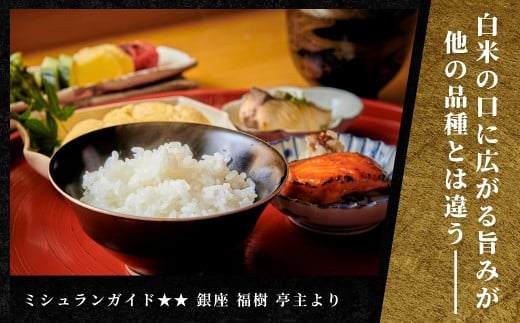 【2025年産新米】【12ヶ月定期便】最高級魚沼産コシヒカリ「雪椿」10kg (5kg×2袋)  特別栽培米