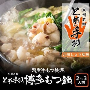【ふるさと納税】博多 もつ鍋 セット 九州 しょうゆ味 2-3人前 [a9204] 株式会社フェリックス ※配送不可：離島【返礼品】添田町 ふるさと納税