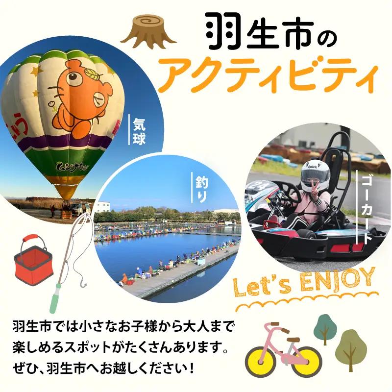 Tシャツ 藍染め 羽生市伝統工芸 洋服