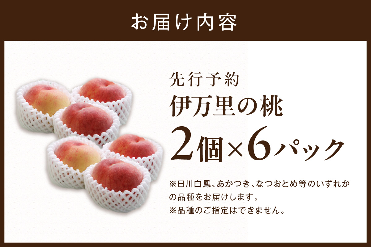 【先行予約】伊万里の桃 2個×6パック B123