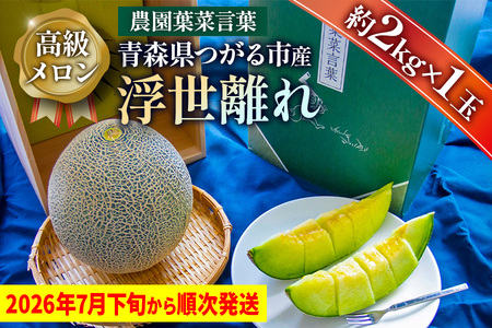 【先行予約】高級 メロン『浮世離れ』1玉【2026年7月下旬から8月上旬まで順次発送】一度は食べてみたい！市場に出回らない｜舐瓜 [0893]