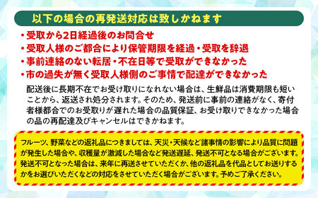 【令和8年産先行予約】鶴岡市産 ラ・フランス（洋梨） 約3kg（8～12玉）　K-822　泉屋商店