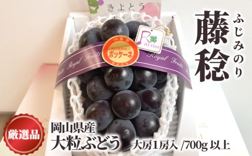 大粒葡萄の「藤稔」 大サイズ1房 厳選品 1房700g～ (岡山県産) 【KF-B086-03】