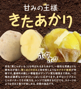 十勝野じゃがいも詰合せセット10kg（きたあかり・メークイン）【2026年秋出荷】（先行受付）［按田農場］