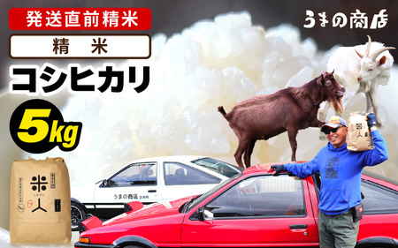 令和7年産 コシヒカリ 5kg【精米】 [m25-a006_01]