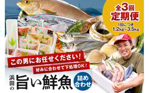【鮮魚屋にお任せ！大満足の定期便】【定期便】 この男の目利き！～浜田の旨い鮮魚3回お届けコース～ 定期便 海鮮 セット 3回 海鮮セット 鮮魚 下処理済み おすすめ 返礼品 お取り寄せ 人気 【006_2042】