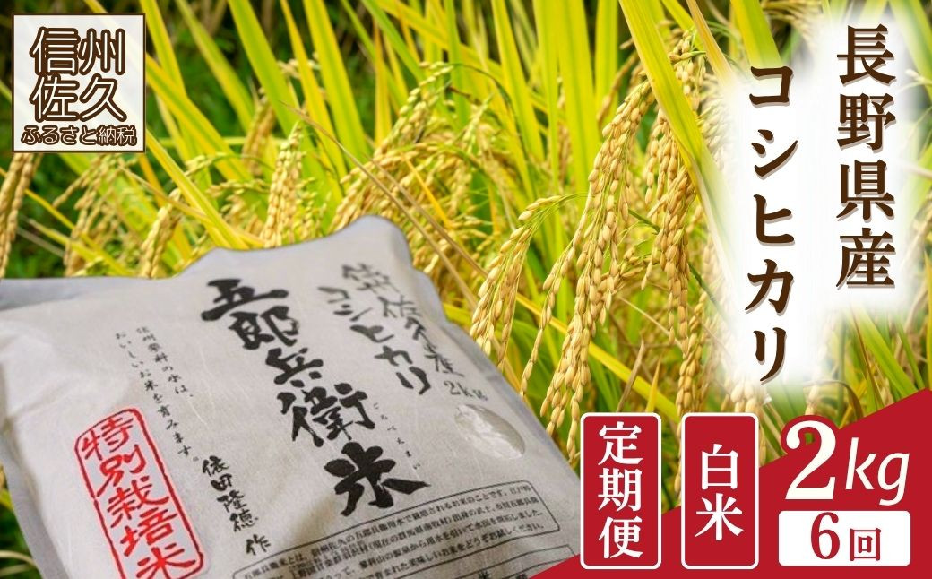 
                  【令和8年産・白米2kg×6カ月定期便】特別栽培米　五郎兵衛米 〈2026年9月下旬頃～順次発送〉 先行予約　新米　信州　こしひかり【 米 コメ 白米 精米 お米 こめ おこめ 予約 備蓄品 コシヒカリ 長野県 佐久市 】
                