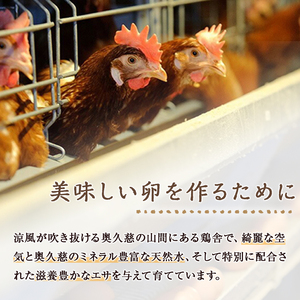 奥久慈卵（赤）30個 ブランド 玉子  タマゴ 【卵】【ho1312】