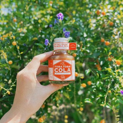 ふるさと納税 喜界町 島仕込みクラフトコーラシロップ TOBA TOBA COLA 中&小各1本セット |  | 02