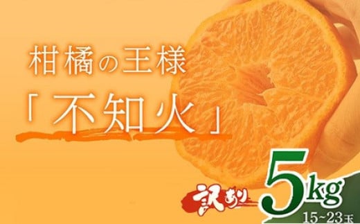 
            訳あり 岡村農園直送 不知火 5kg | 果汁たっぷりの 完熟 デコポン 数量限定 期間限定 農家直送 大人気 しらぬい 柑橘 デコポン 傷ありデコポン ふるさと納税 果物 フルーツ 人気 ランキング 上位 みかん ミカン 傷あり 規格外 大小混合 高知県 室戸市
          