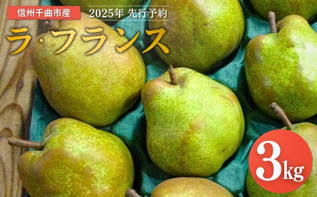 
            【2025年先行予約】洋梨 ラ・フランス 約3kg｜ ラフランス 洋梨 果物フルーツ デザート 千曲市 長野県産 信州
          