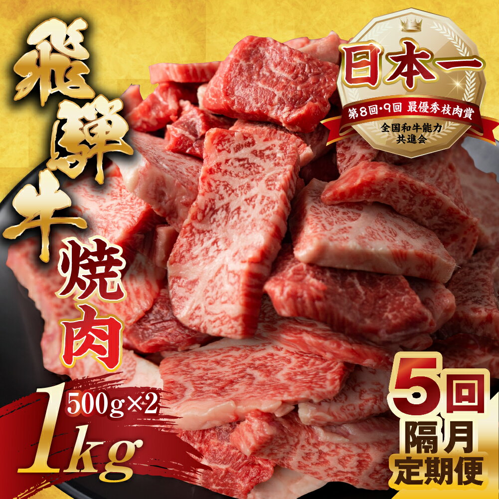 【ふるさと納税】【訳あり】定期便 飛騨牛 焼肉 切り落とし 500g × 2 計 1kg 5回隔月お届け | 定期便 お楽しみ 牛肉 肉 切落し 和牛 国産牛 黒毛和牛 牛肉 肉 わけあり ワケアリ 不揃い 小分け 冷凍 本巣市 トキノ屋 食品 訳有 [mt452] 125000円