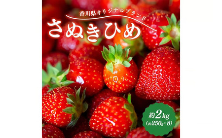 先行予約 いちご さぬきひめ 約2kg 苺いちご