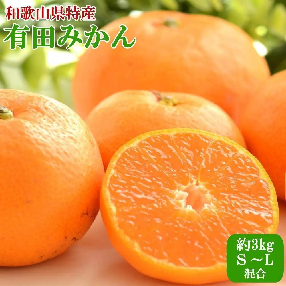 [秀品]有田みかん 約3kg みかん サイズ混合 【TM96】
