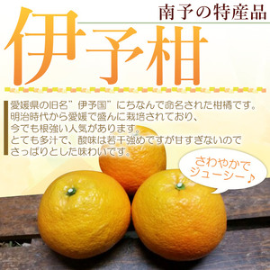 ＜愛媛県西予市産 伊予柑 家庭用 約8kg＞ 訳あり ワケアリ 果物 くだもの ミカン 柑橘 フルーツ いよかん イヨカン 特産品 段畑みかん 愛媛県 西予市【常温】『2023年1月中旬～1月末までに