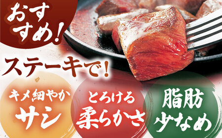 【肉の旨味を凝縮！】 佐賀牛 赤身 サイコロステーキ 500g 【がばいフーズ】A5ランク 佐賀牛[HCS124]