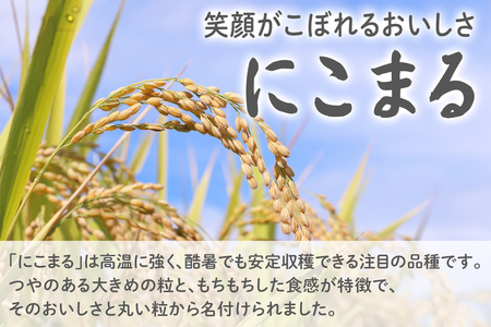 星華 利右衛門米 にこまる 玄米 5kg｜米 こめ コメ ごはん ご飯 [0302]