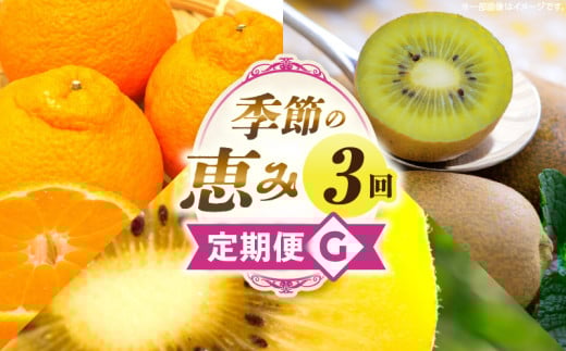 季節の恵み3回定期便G_mk165-t022