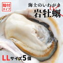 【ふるさと納税】【のし付き いわがき 殻付きLLサイズ 5個】海士のいわがき 岩牡蠣 生食可 冷凍 牡蛎 牡蠣 かき カキ 岩牡蠣 いわがき 冷凍 お歳暮