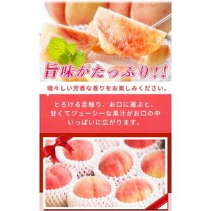 紀州和歌山産の桃　約4kg　化粧箱入【日高町】【配送不可地域：離島】【1217234】