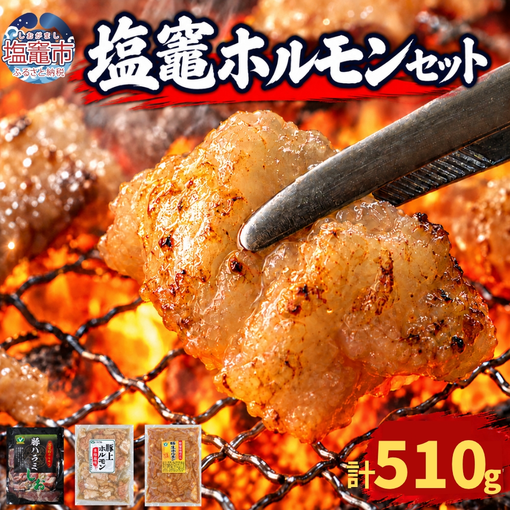 元祖塩竈ホルモンセット【お試しセット】 | 牛ほるもん 牛ホルモン 塩竃市 塩釜 ビセラル株式会社 bs00001-sam