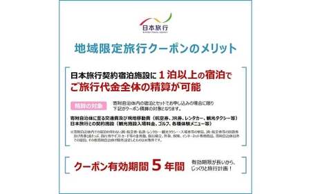 福岡県柳川市 日本旅行 地域限定旅行クーポン90,000円分（30,000円分×3枚）旅行クーポン 旅行 観光 クーポン 家族旅行 柳川市