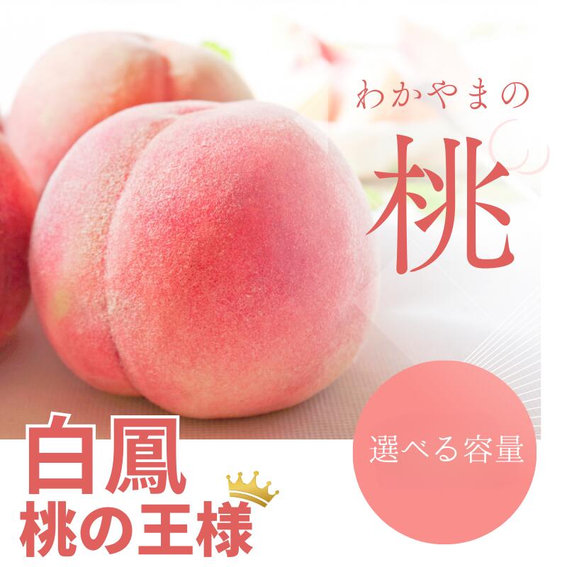 【ふるさと納税】【予約受付】桃の王様 白鳳 特秀品 【選べる容量】 2025年6月末頃～2025年7月末頃に順次発送予定（お届け日指定不可）/ 桃 もも 白鳳 フルーツ 果物 くだもの
