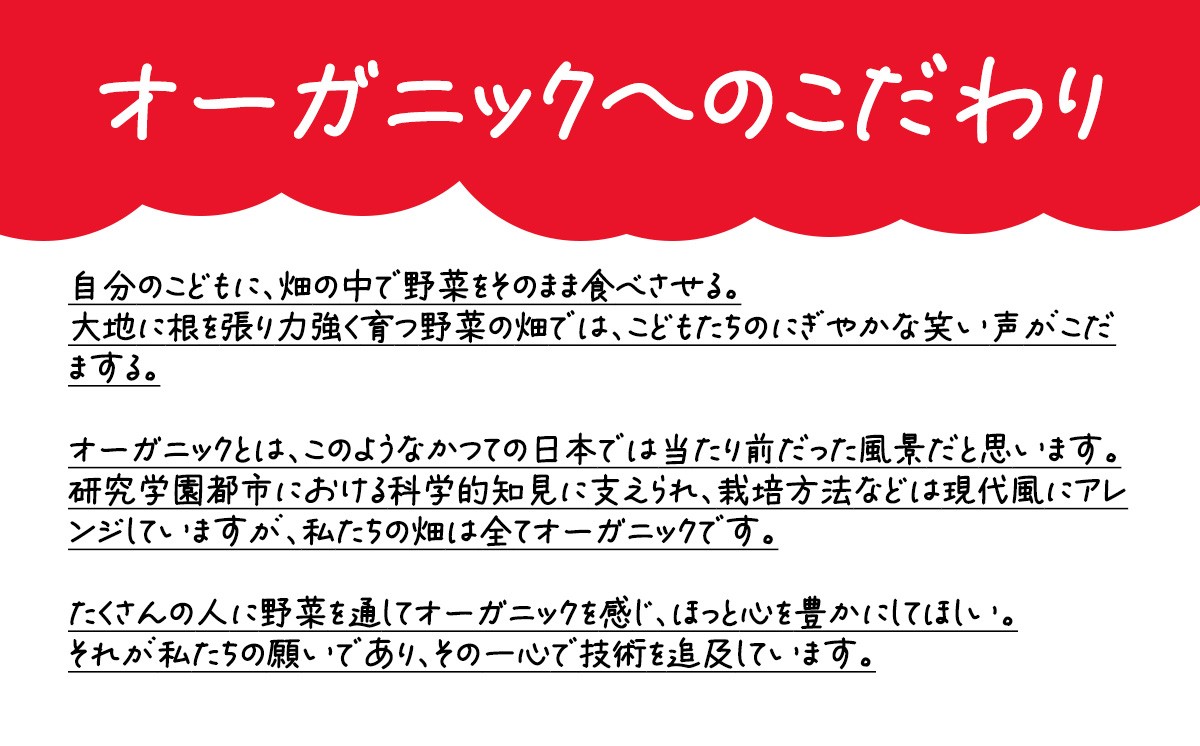 すっぴん有機やさいセット ( 小松菜 ・ 水菜 ・ ロメインレタス )【 茨城県 つくば市 小松菜 ロメインレタス 水菜 鍋 鍋もの 野菜 ベジタブル 有機野菜 有機栽培 無農薬 有機農業 オーガニッ