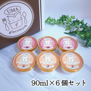 アイス職人が作るこだわりシャーベット 2種6個セット　各90ml入り 卵不使用 乳不使用 小麦不使用【配送不可地域：離島】【1369014】