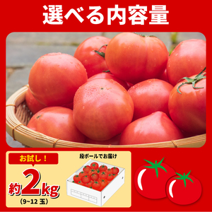 大玉 トマト 2kg 【徳島県産】| トマト