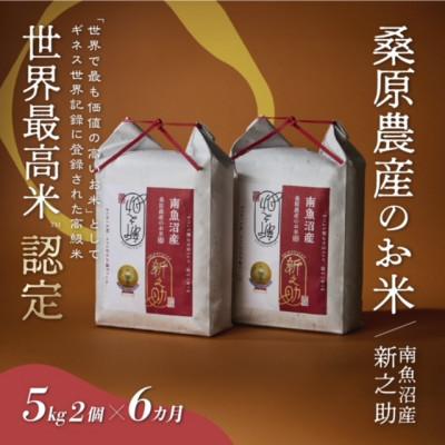 ふるさと納税 南魚沼市 【毎月定期便】ギネス世界記録「世界最高米」認定 最高級南魚沼産新之助5kg×2 桑原農産のお米全6回