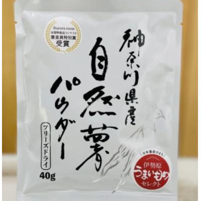 ふるさと納税 伊勢原市 すりおろし不要!自然薯パウダー5袋