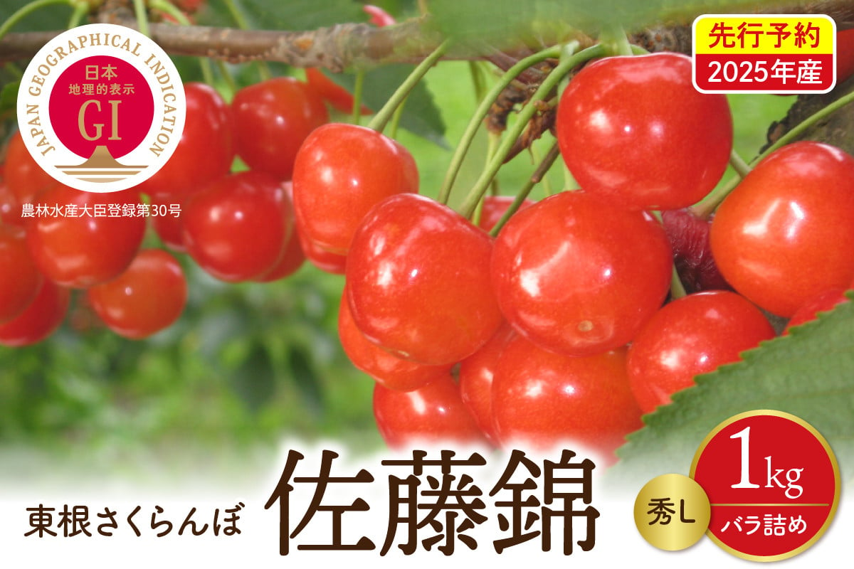 
【先行予約】2025年産 GI東根さくらんぼ佐藤錦 秀L 1kgバラ詰め(500g×2P) 株式会社晴天畑提供 hi026-002-1
