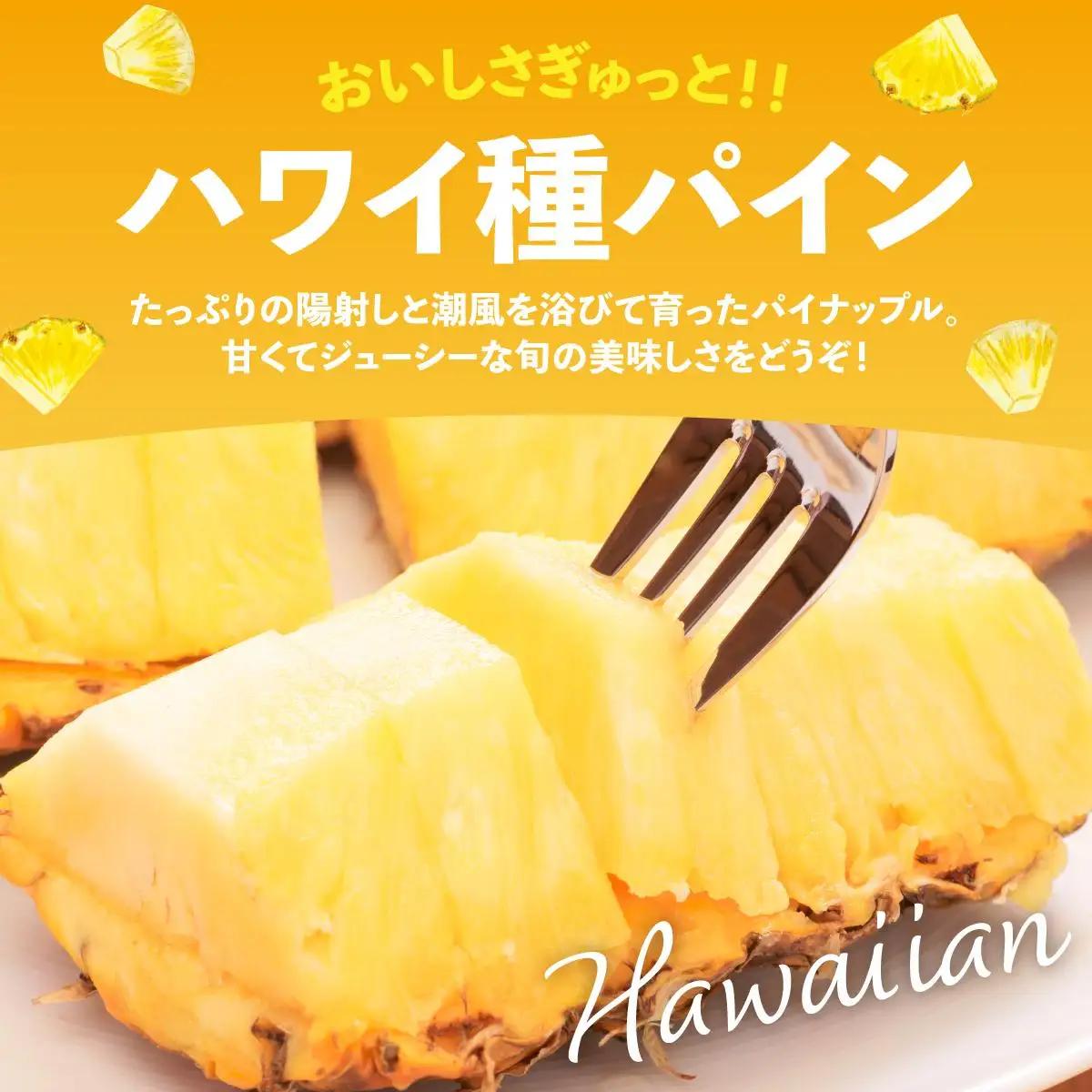 石垣島産 ハワイ種パイナップル 約4kg（3～8個）KP-02 
