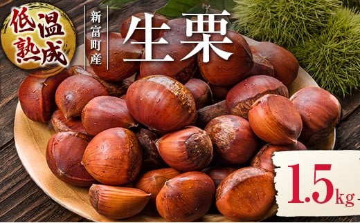 
            ＜期間限定＞国産 低温熟成栗（生栗）1.5kg 熟成宝珠栗 産地直送 宮崎県新富町産【B672】
          