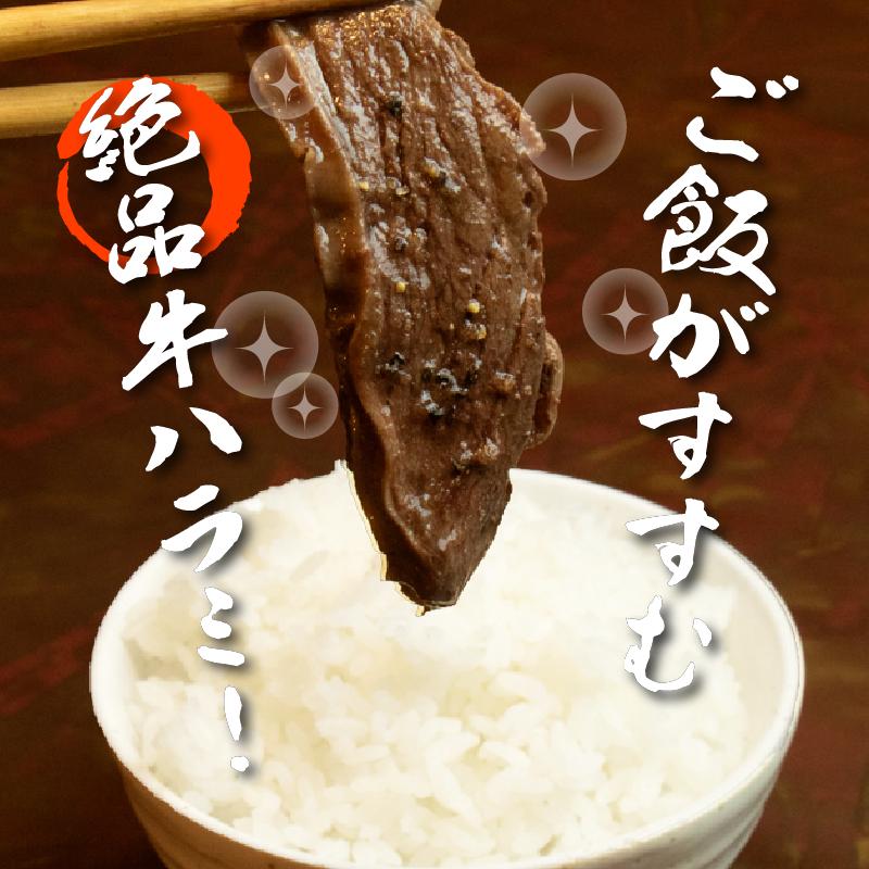 牛ハラミ 1kg×3袋 | 牛肉 ビーフ 厚切り 熟成 冷凍 大容量 焼肉 厚さ約8mm 牛 肉 お肉 精肉 スライス BBQ バーベキュー おかず おつまみ 北海道 滝川市