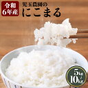 【ふるさと納税】【令和6年産】新米『児玉農園』 にこまる 5kg 5kg×1袋 10kg 5kg×2袋《10月下旬-11月末頃出荷予定(土日祝除く)》