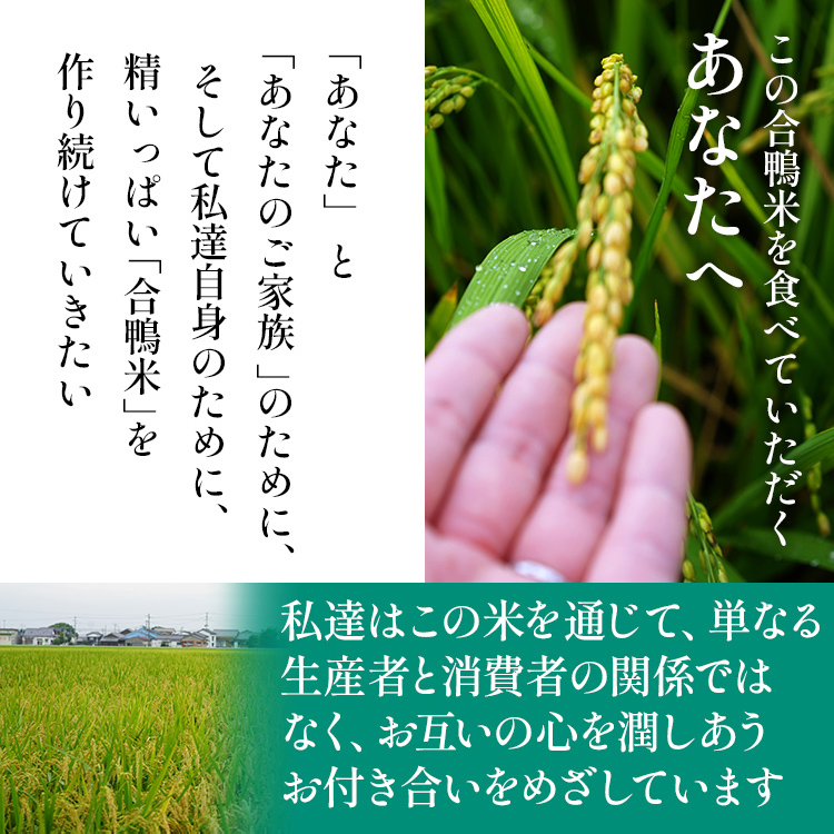 令和7年産 新米予約 合鴨米「ヒノヒカリ」（玄米・5kg）定期便6回コース　BI04　※2025年10月より順次出荷予定(隔月発送予定)