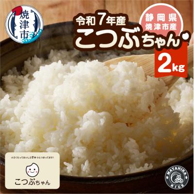 ふるさと納税 焼津市 令和7年産 おいしく節約 しあわせごはん お米の小粒ちゃん 2kg(a05-021)