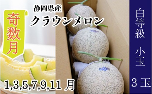 
                  【奇数月6ヶ月定期便】クラウンメロン【並（白等級）】小玉（1.1kg前後）3玉入り 
                